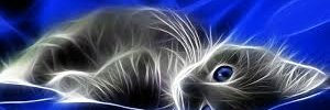 ClawfulSpirit's profile banner image