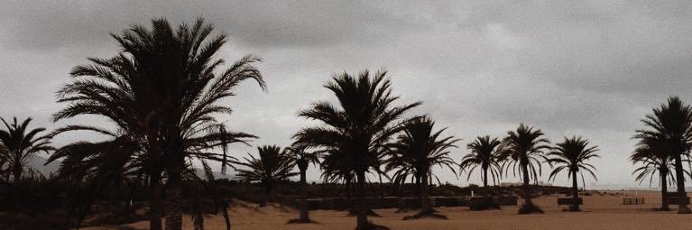 merce_titas's profile banner image