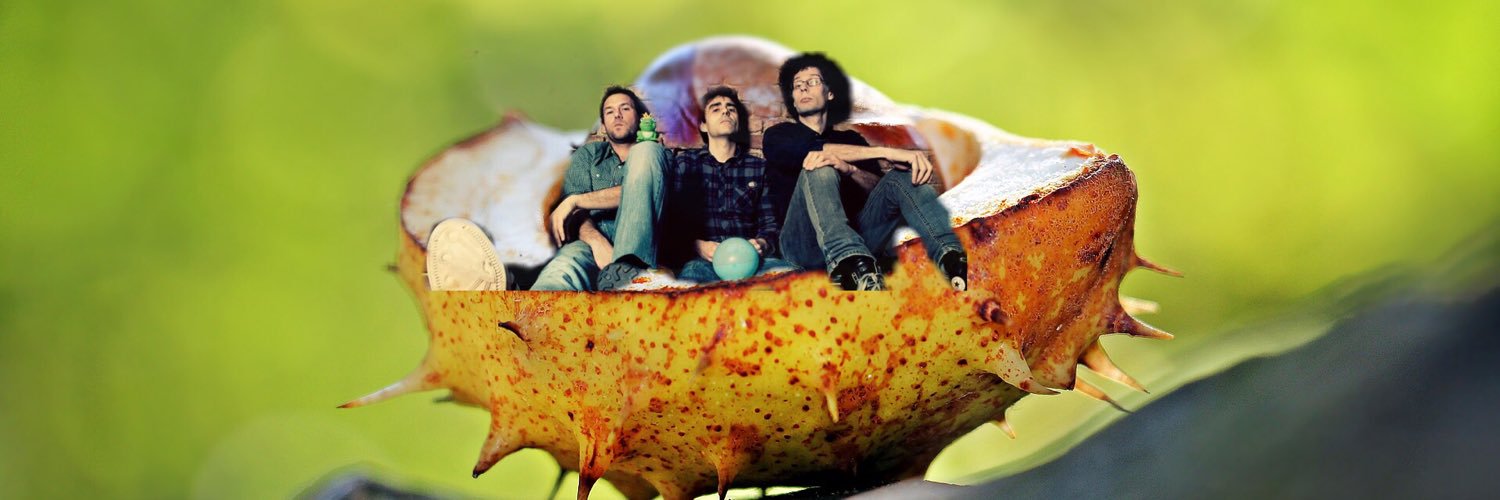 pocketchestnut's profile banner image