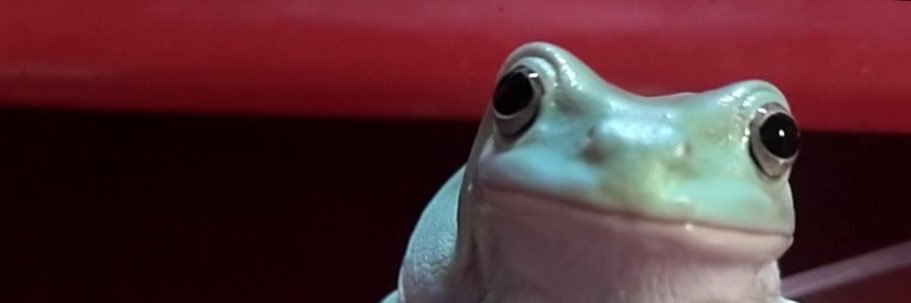 ゅぅゃん@ＬＰ🐹️🩵🍼 banner