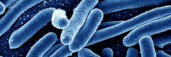 SRonneau Profile Banner