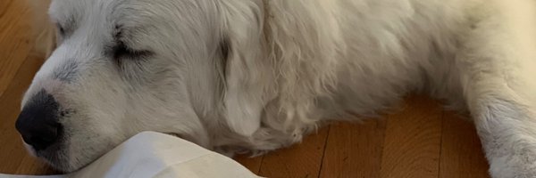 MFMSperling Profile Banner