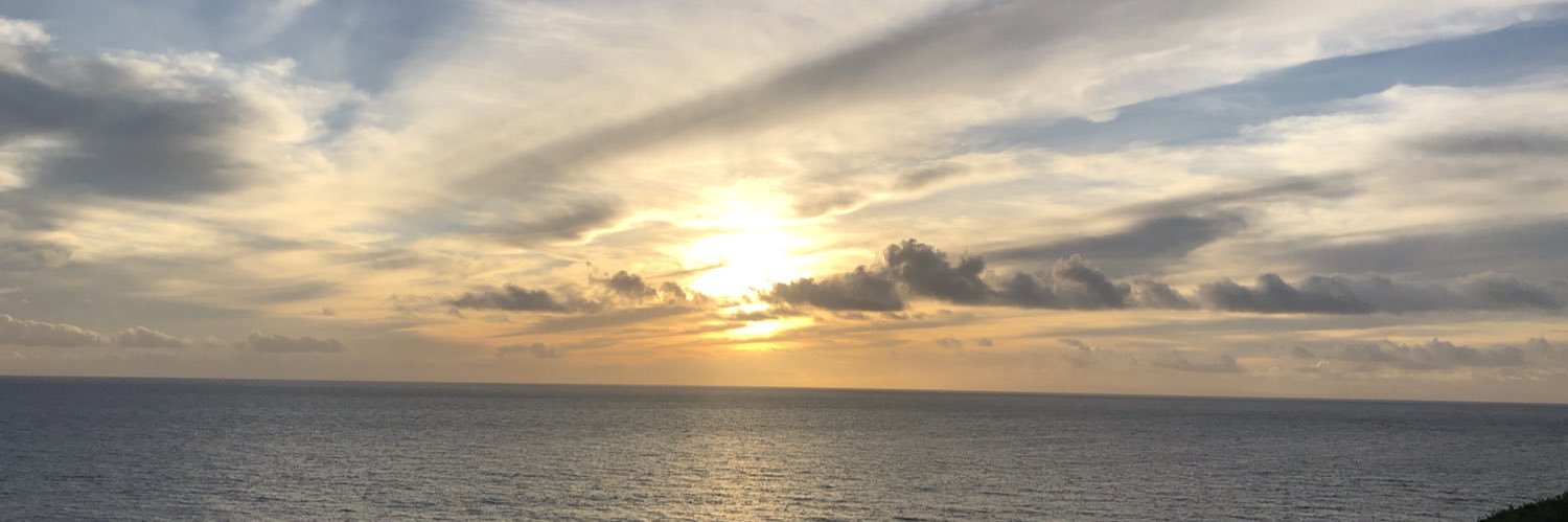 Meredith Doyle banner