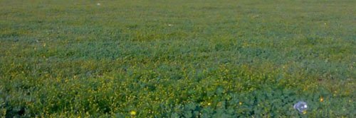 rema11900's profile banner image