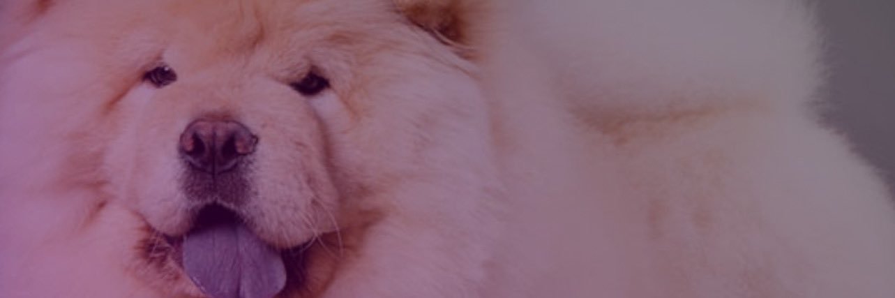 DemonKilla626's profile banner image