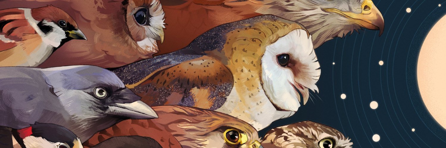 Gato's banner