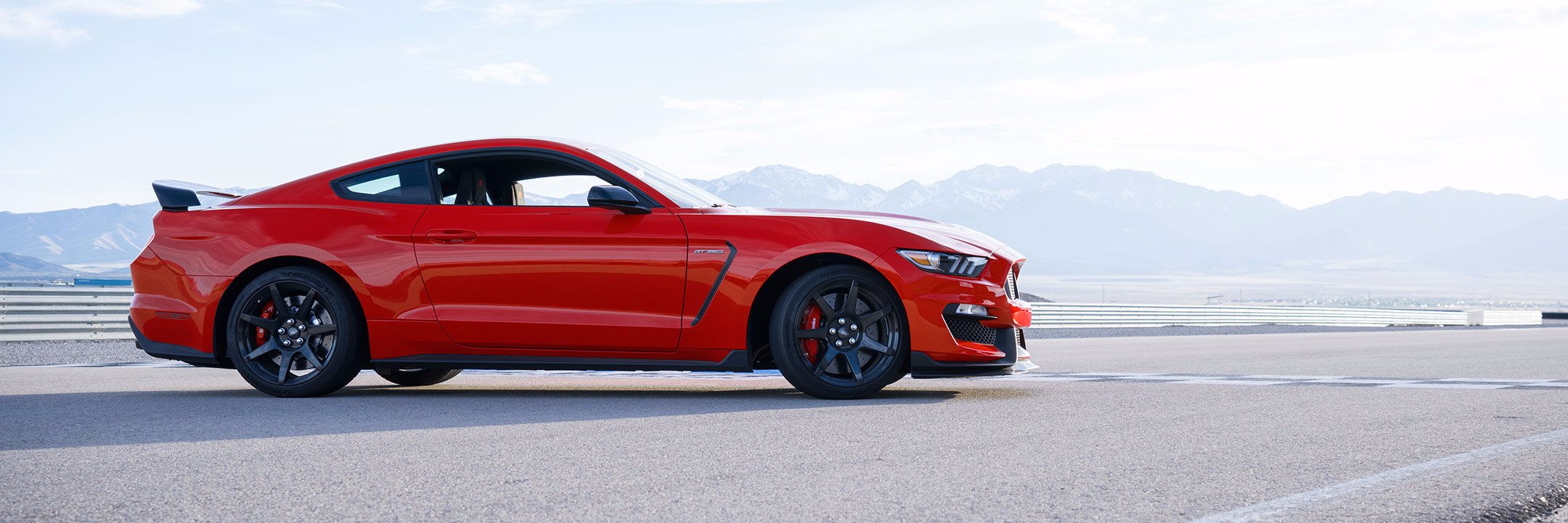 FrozenPepperony banner