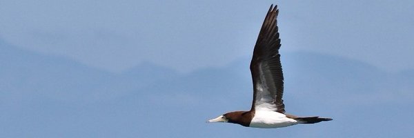 Leandr0Ri0s Profile Banner