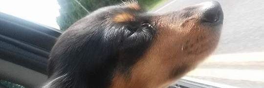 bhenner23's profile banner image