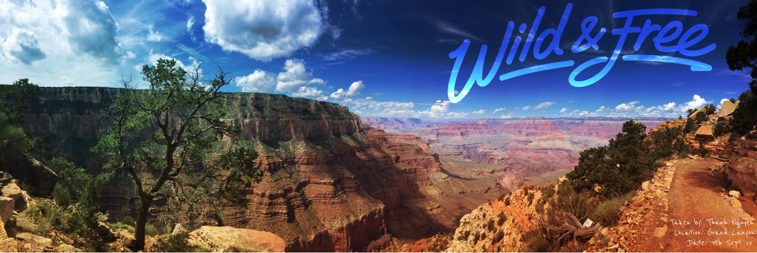 TweetThanh's profile banner image