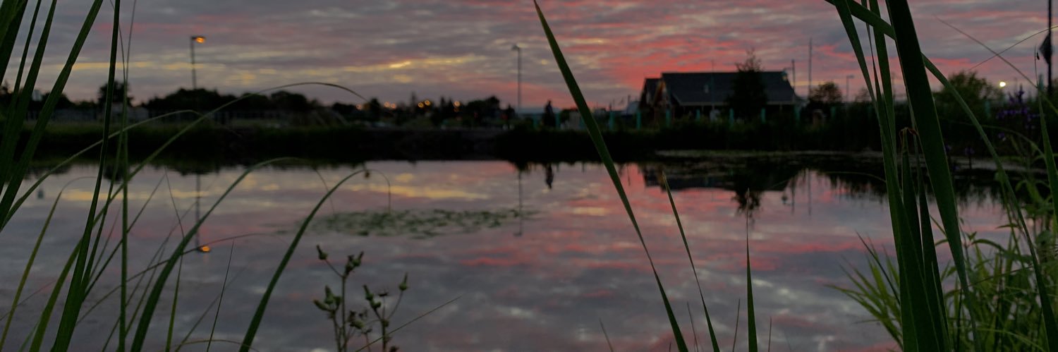 DHaberling's profile banner image