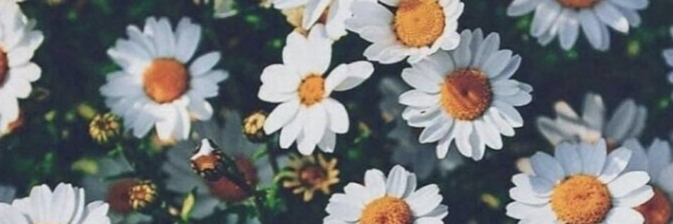 keenkizzle's profile banner image