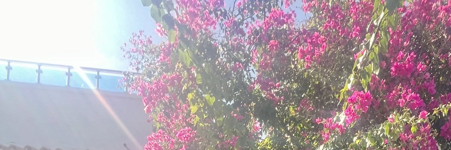 elliem77's profile banner image