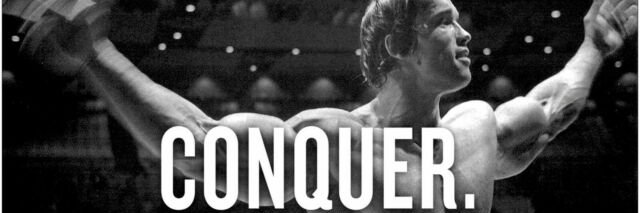 Crypto Steve 💎 banner