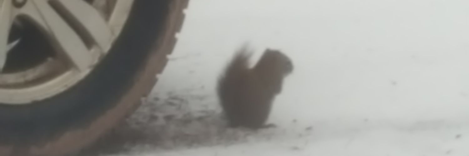 Magivney2312's profile banner image