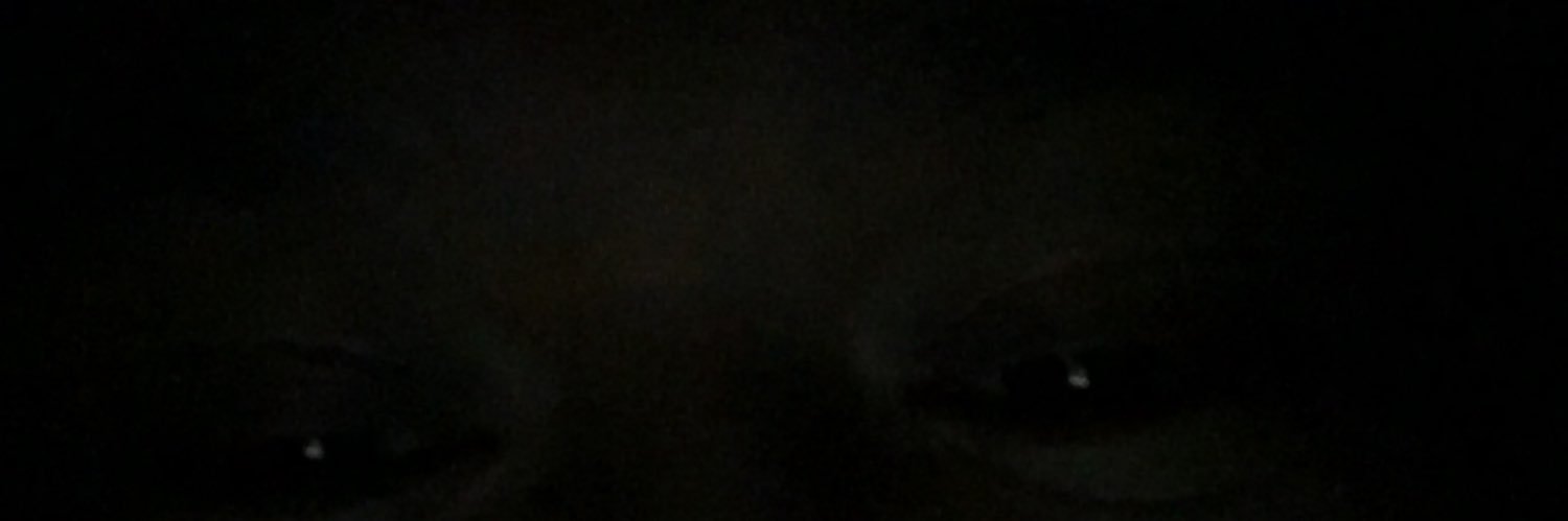 Leonard6906's profile banner image