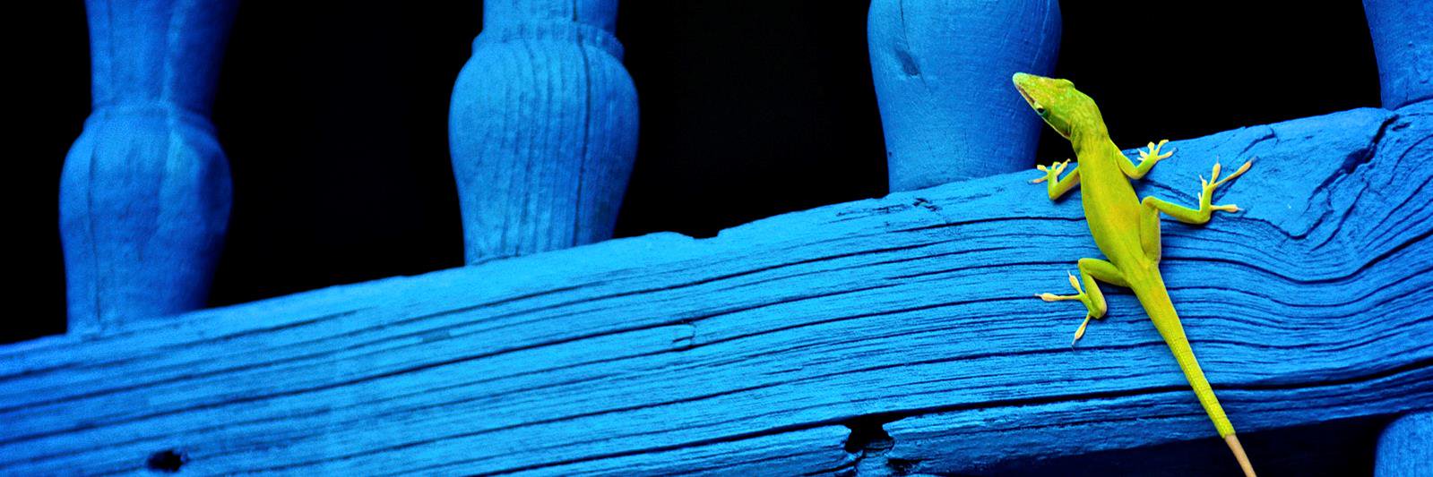 RensBogers's profile banner image