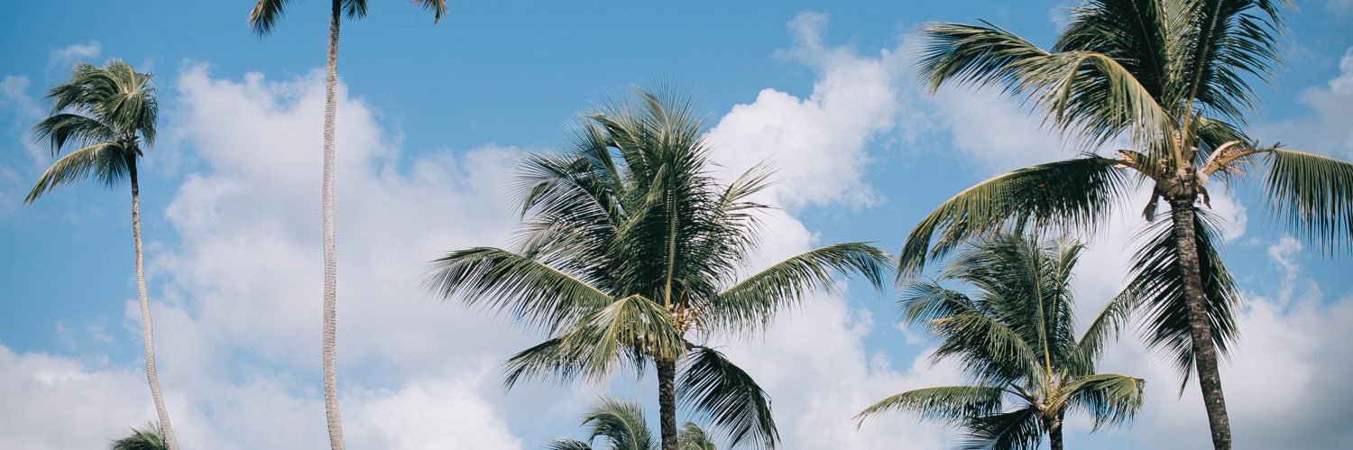 ___ banner
