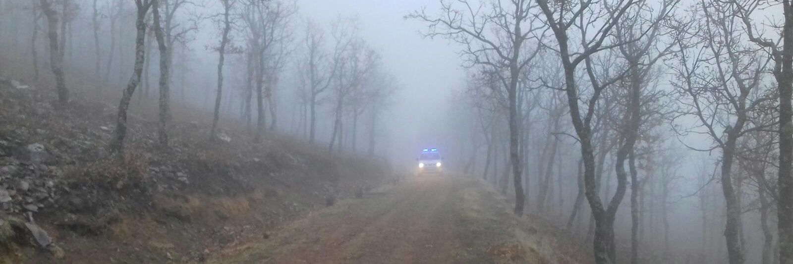 Asociación🇪🇦Agentes Medioambientales banner