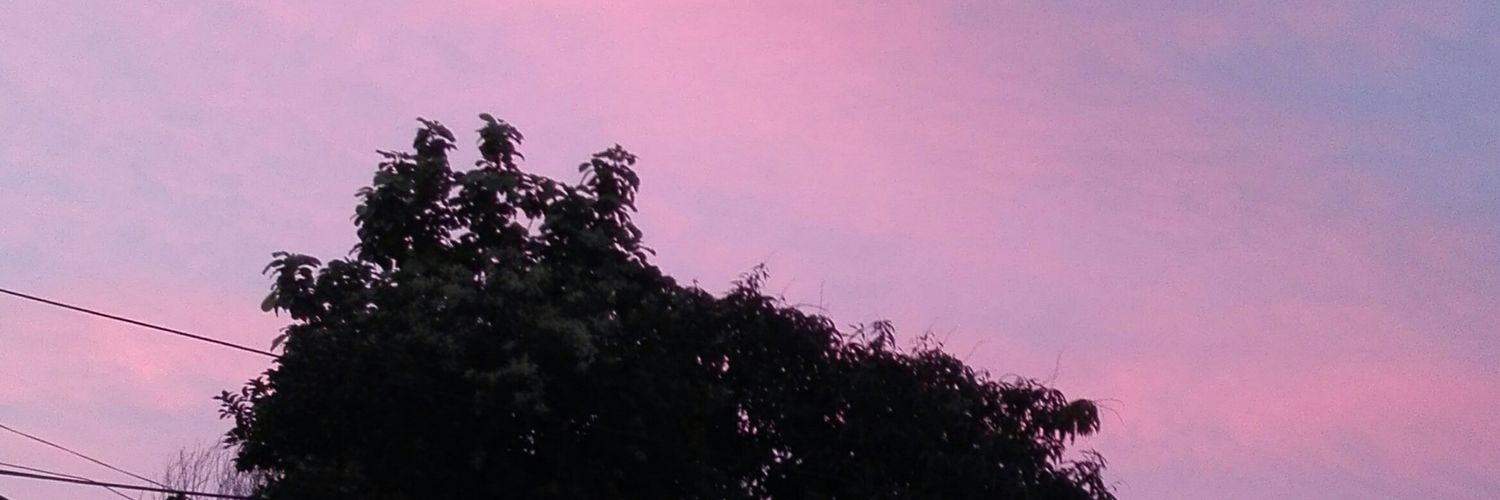 DailesSM's profile banner image