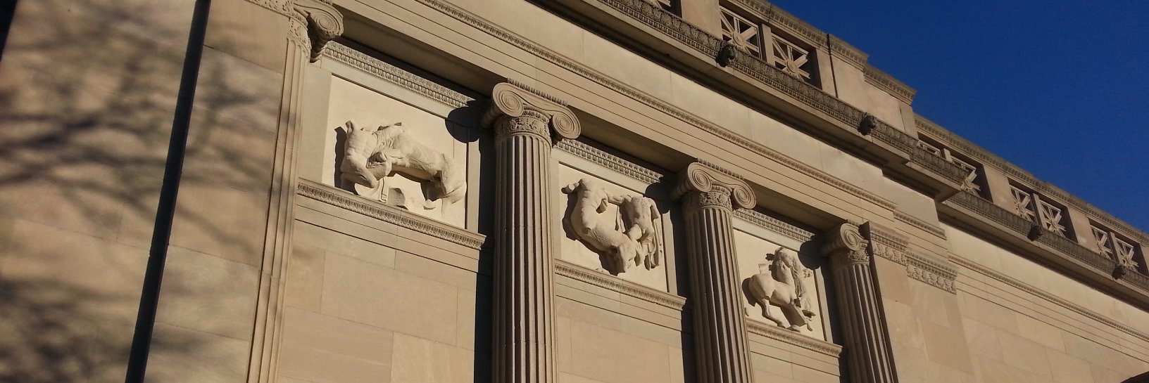 White_Columns's profile banner image