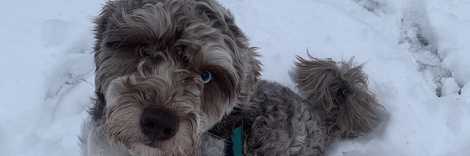 Benjamin O'Connell banner