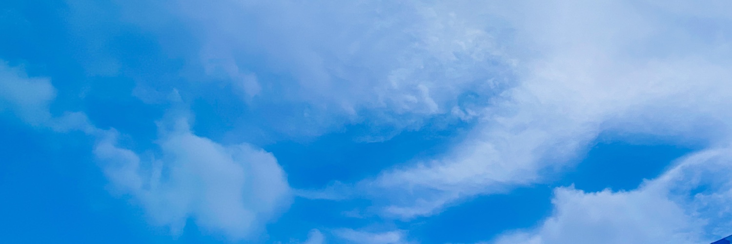 nazuxx_'s profile banner image