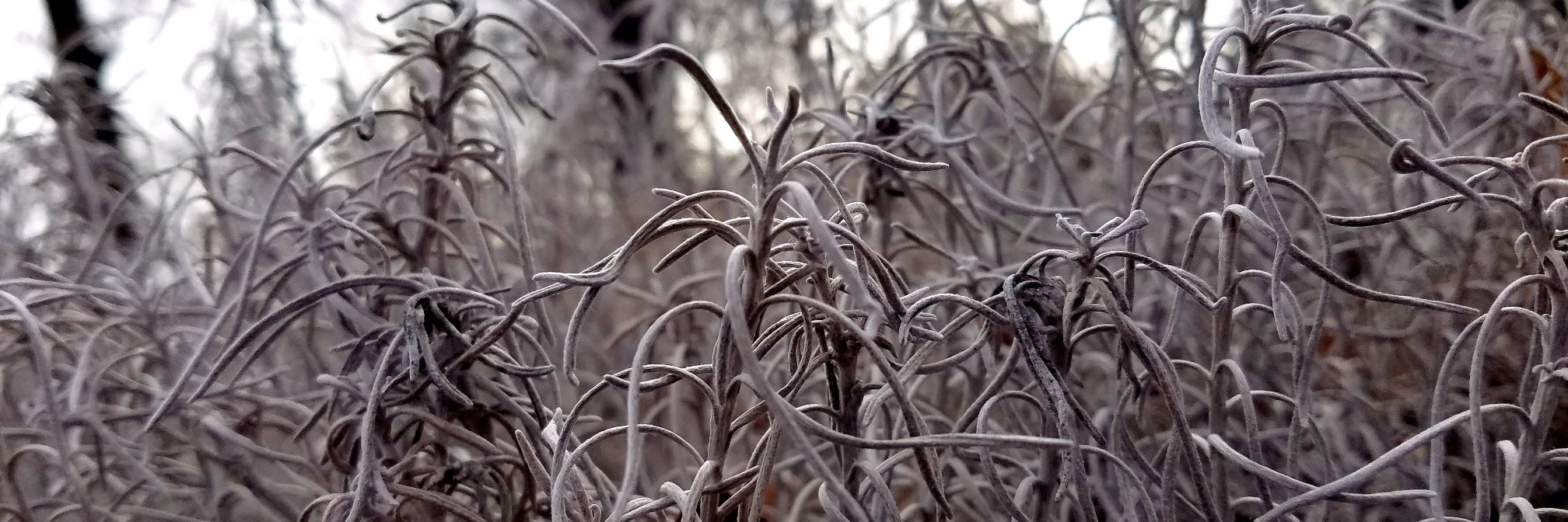 LensGypsyPhoto's profile banner image