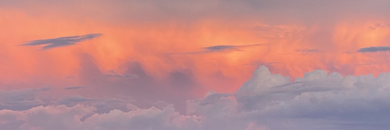 megmurnane's profile banner image
