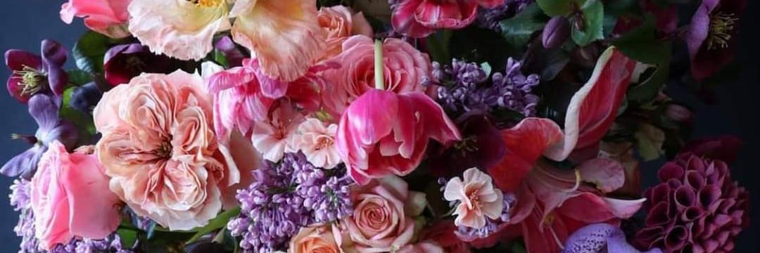 🌹Amy Ruby Rose🌹 banner