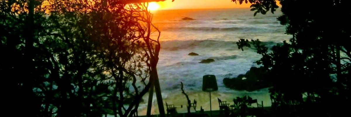 nunosorio's profile banner image