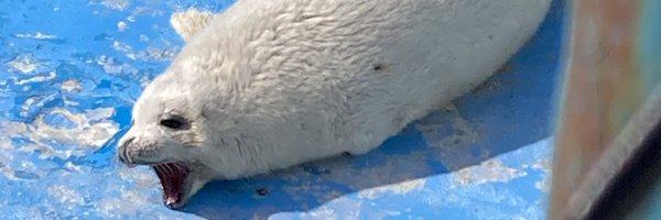 Reih28 Profile Banner