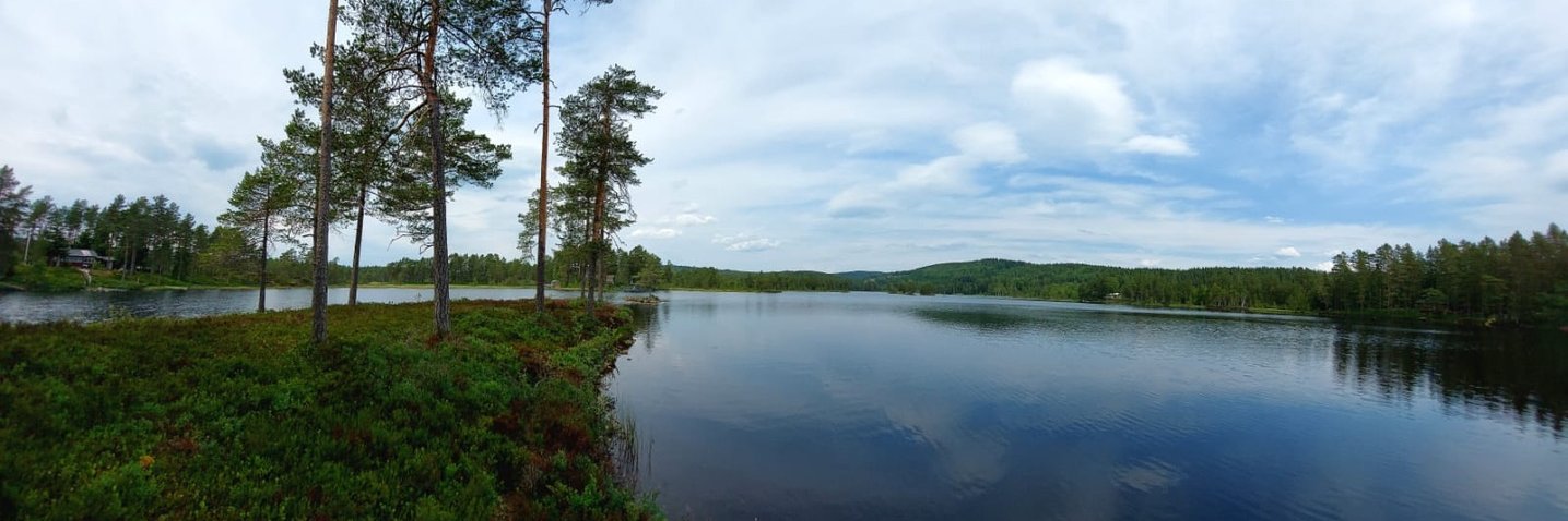 CorneliaBrantner @corneliabrantner@bsky.social banner