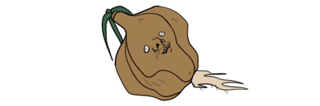 masakazaka48's profile banner image