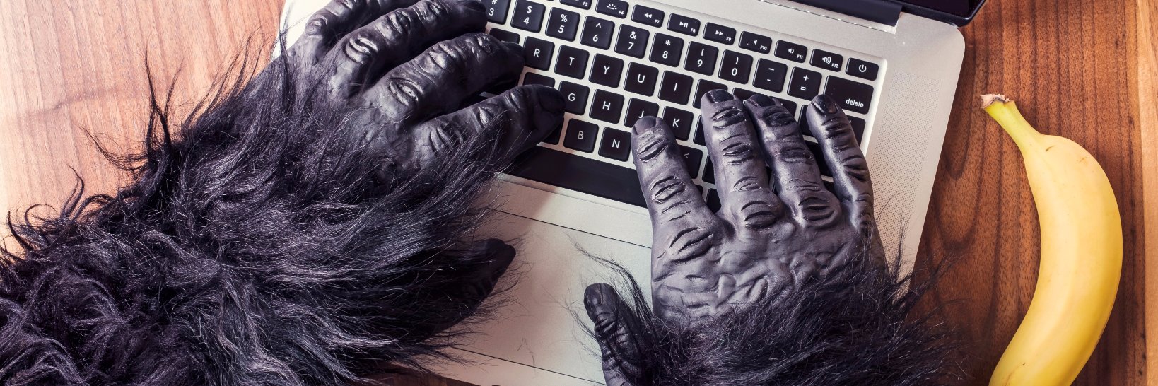 Catch the Ricksanity banner