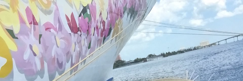 TayNichVG's profile banner image
