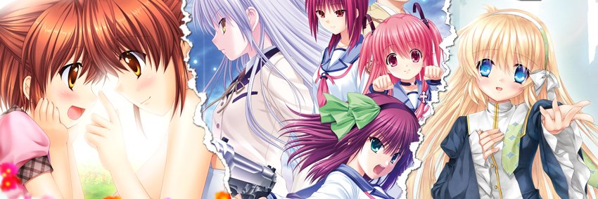VISUAL ARTS Co.,Ltd.'s banner
