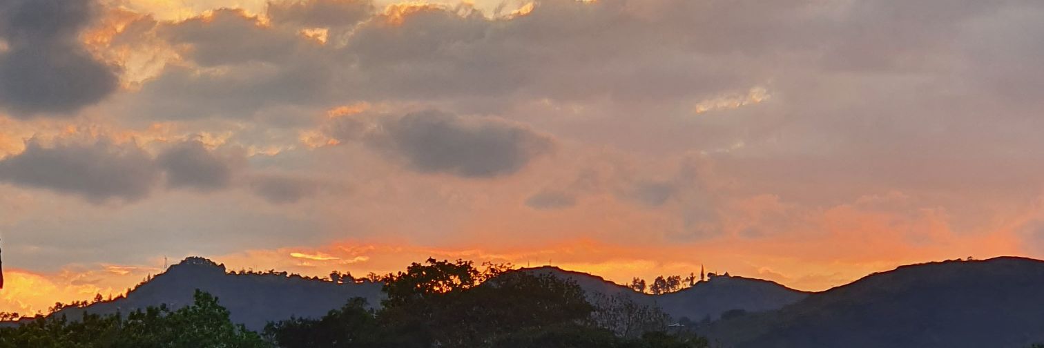 Alberto Durán banner