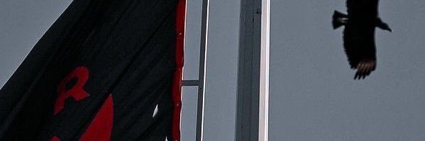 Pedro Pessoa banner