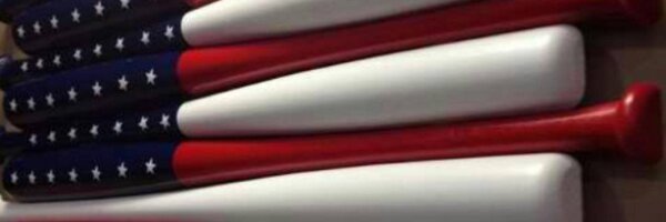 jshpsu93 Profile Banner