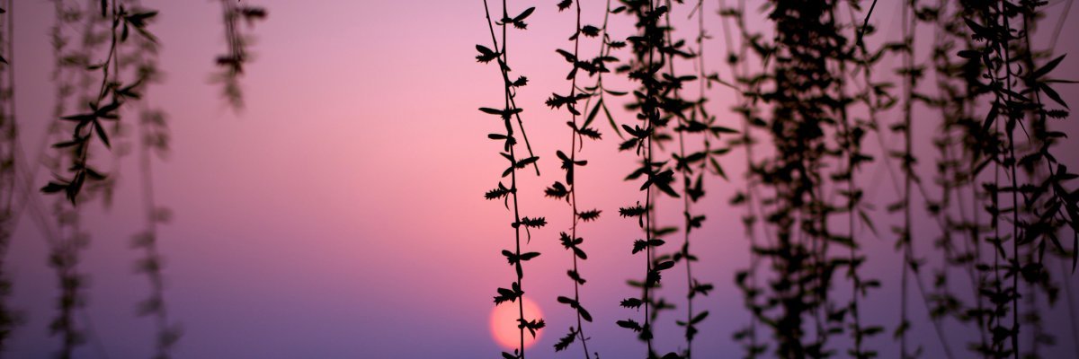 roclowns's profile banner image