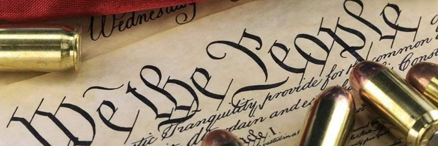 The Voter's Guide: to politics 🇺🇸 banner