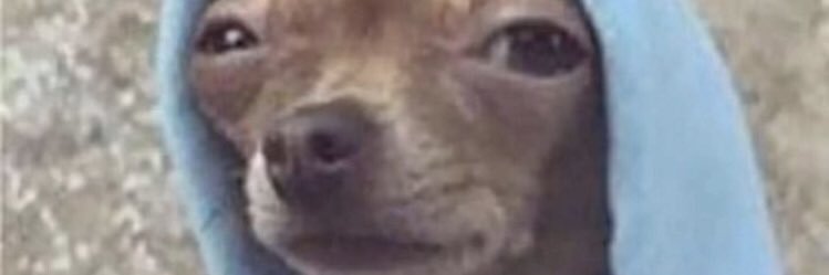 I spit on u banner