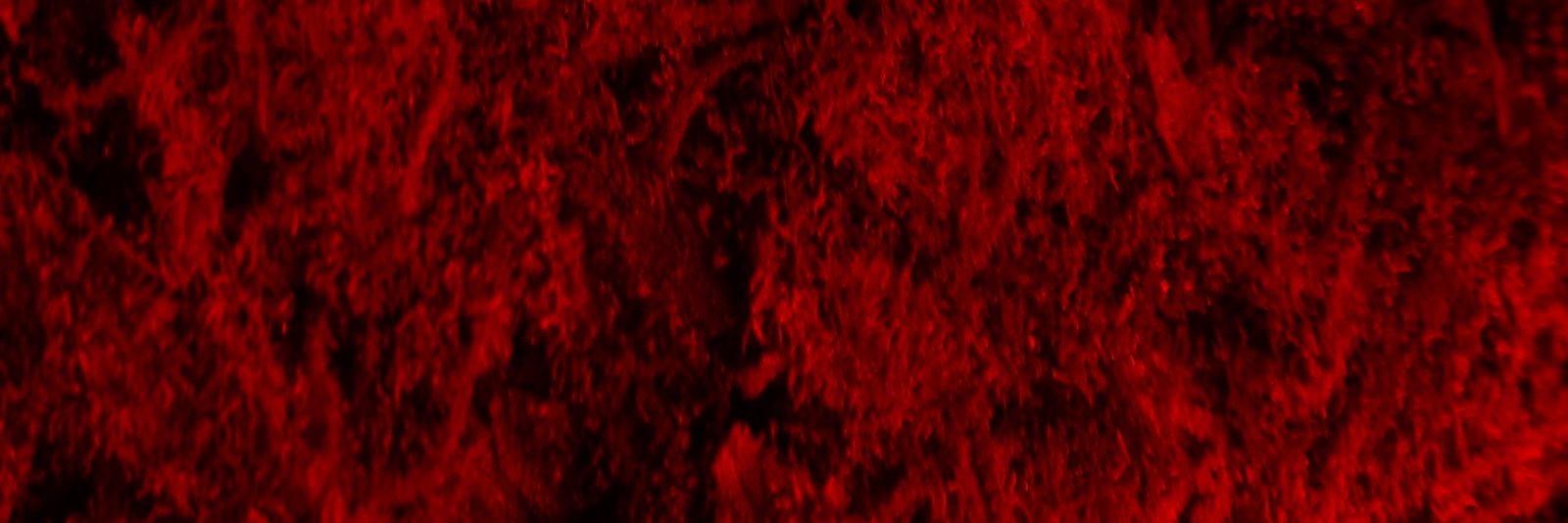 Dr. LaFlow banner