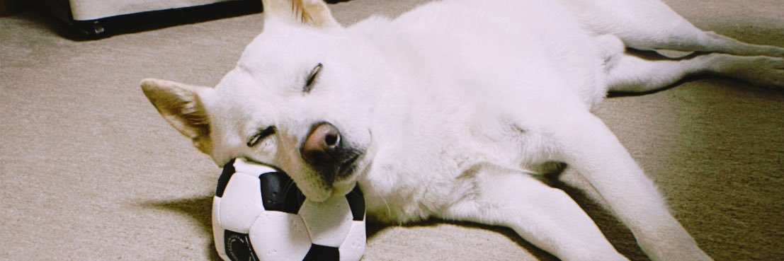 彩美 banner