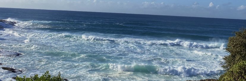 Charlise Dunn banner