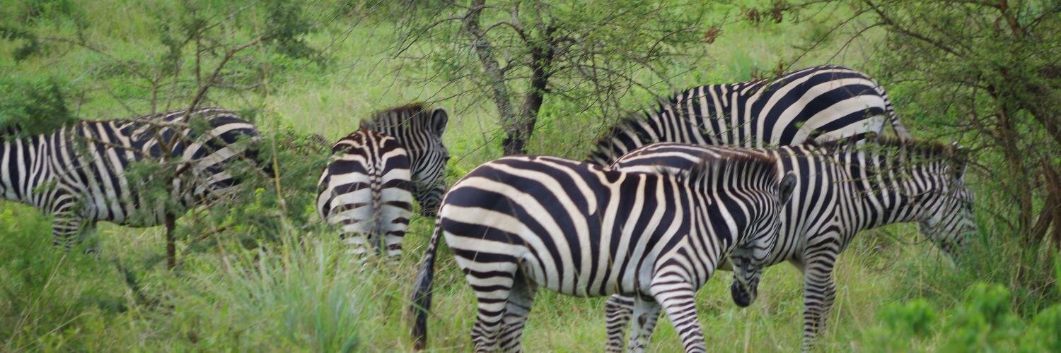 Rawlance Ndejjo banner