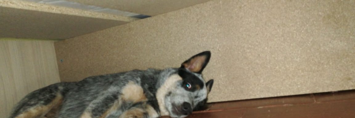 Andres Ramirez banner