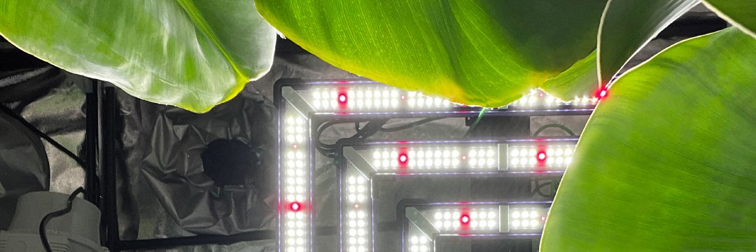idroponicagrow's profile banner image