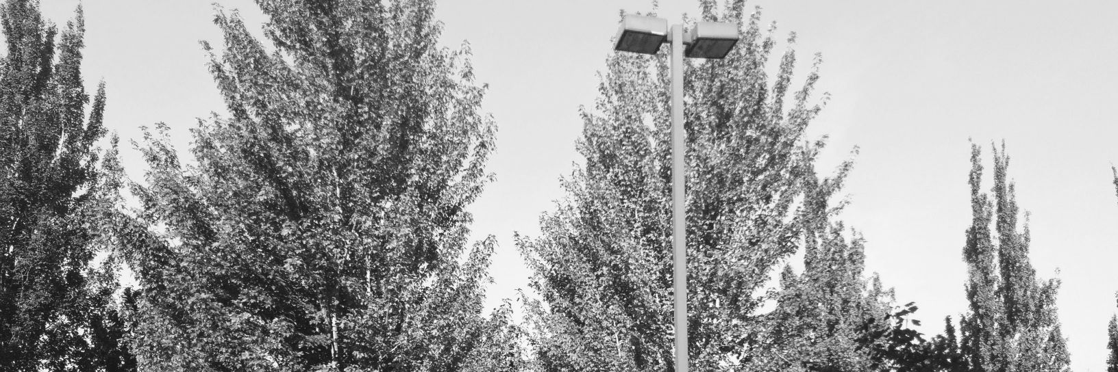 Maxwolf95's profile banner image
